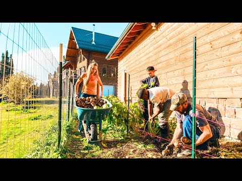 Alaskan Fall Harvest on the Homestead! Pick & Cook with Us...