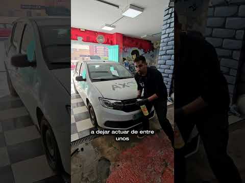 VIDEO    - INSECT REMOVER 25L                                          