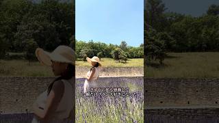 プロバンスのラベンダー #provence