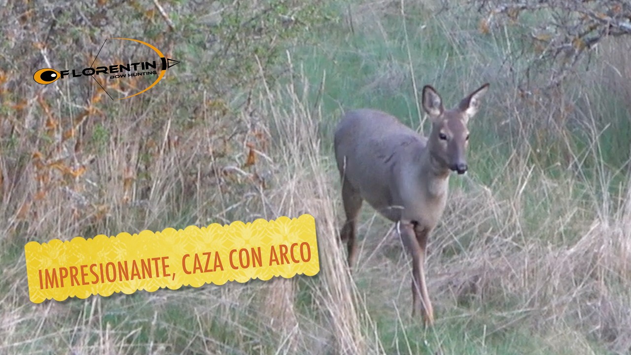 CUANDO VUELA LA FLECHA, caza con arco