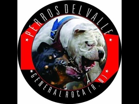 Clasificatorias Big Bang / Tinta Fresk: Cuartos-Zonda vs Huenchu Vuelta