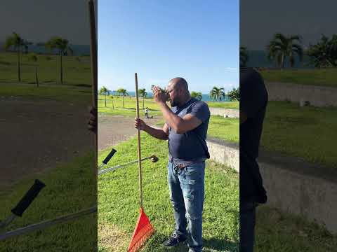 Limpieza en el paseo marino Colón