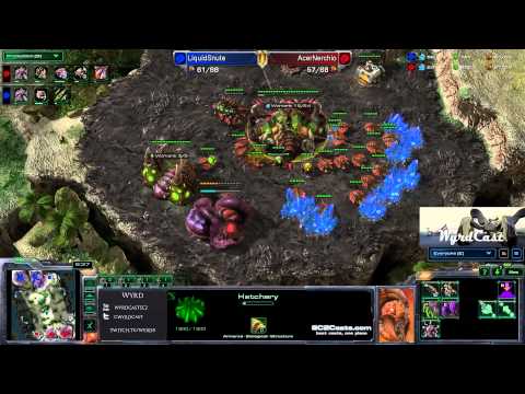 Snute (Z) vs Nerchio (Z) - ZOTAC Cup - Game 1