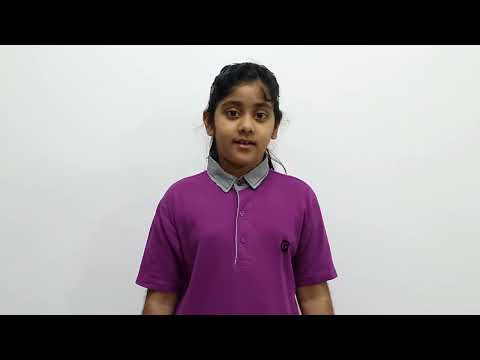 History of Chocolate! 🍫