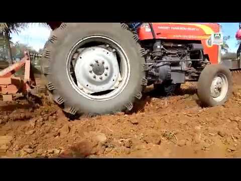 Plantation methodology training