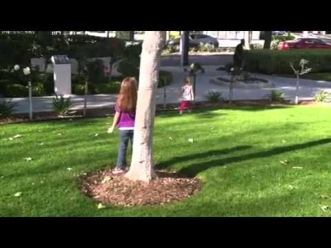 Hailey and Rylee Rolling