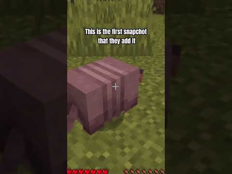 ARMADILLO in Minecraft?! You won't believe it! #shorts