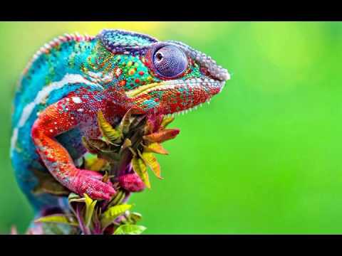 Simion MD X Spress - God Made Me Feel It (Claptone Edit)