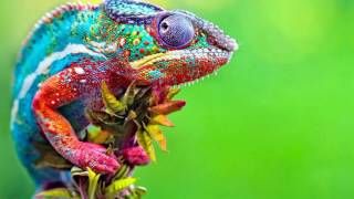 Simion MD X Spress - God Made Me Feel It (Claptone Edit)