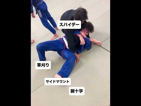 #jiujitsu #jiu #格闘技 #bjj #寝技 #スパイダーガード#腕十字