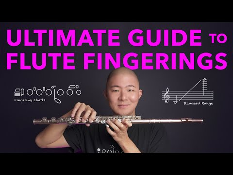 Learn EVERY Flute Fingering from a Pro Flutist (Tutorial)