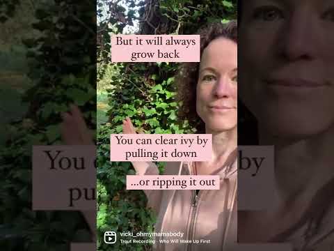 Fertility blockages? How naturally healing revives your flow