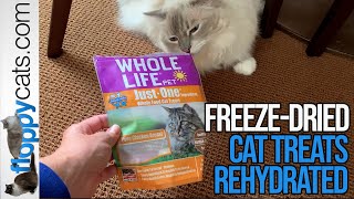 Cat Food & Treats: Healthy Cat Treats Whole Life Pet Just On