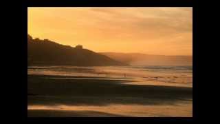 Wave . A tribute to Stan Getz