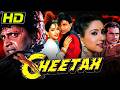 Cheetah 1994 Full Hindi Movie Ashwini Bhave Birthday Special Mithun Chakraborty Prem Chopra