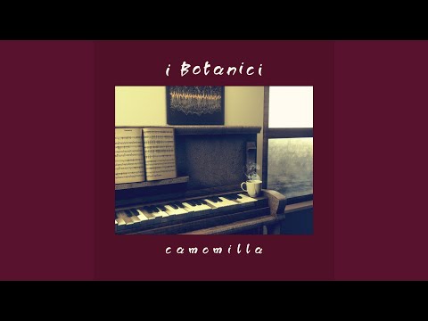 Video thumbnail for Camomilla