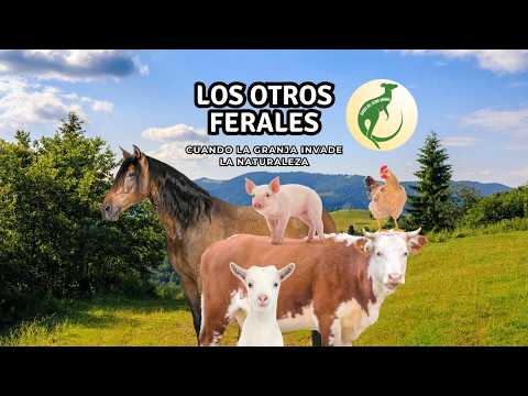 Bacterias extremófilas ⚠️ | Vivir donde la vida es imposible