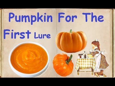 Pumpkin For The First Lure / Book of recipes/ Bon Appetit