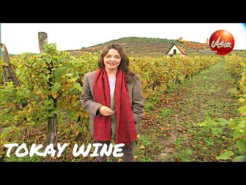 Hungary | Tokaj | The Sweet Wine Region for the Kings