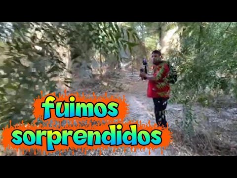 We went exploring again and everything has changed a lot #urbanexplorations