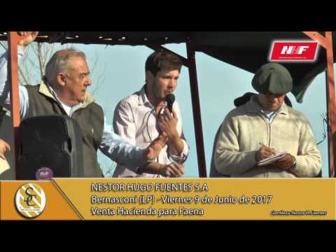 09-06-17  Venta Hacienda al Kilo - Néstor Hugo Fuentes - Bernasconi (LP)