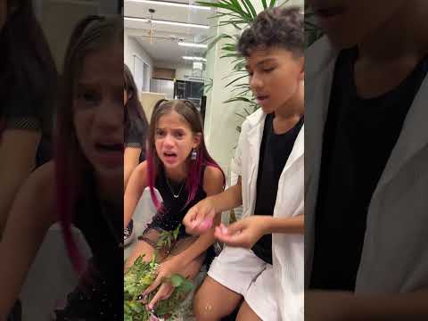 Jessica was sad because Manu destroyed a bouquet of flowers she received from her BFF #shots