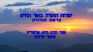 הרב חייא אלמליח פרשת השבוע תולדות שיעור מרתק על האור החיים | שידור חי #foryou #פרשתהשבוע #shorts (הרב מיכאל לסרי) - התמונה מוצגת ישירות מתוך אתר האינטרנט יוטיוב. זכויות היוצרים בתמונה שייכות ליוצרה. קישור קרדיט למקור התוכן נמצא בתוך דף הסרטון הרב חייא אלמליח פרשת השבוע תולדות שיעור מרתק על האור החיים | שידור חי #foryou #פרשתהשבוע #shorts (הרב מיכאל לסרי) - התמונה מוצגת ישירות מתוך אתר האינטרנט יוטיוב. זכויות היוצרים בתמונה שייכות ליוצרה. קישור קרדיט למקור התוכן נמצא בתוך דף הסרטון