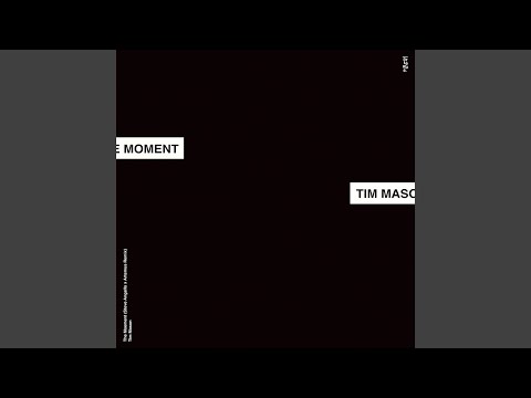 Tim Mason - The Moment (Steve Angello vs. Artemus Remix)