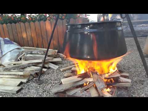 Csodálatos Baja - Szabó Bence   3. helyezett