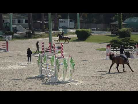 cso 2021-04-17 royan jeanne pro3 120 c1crack