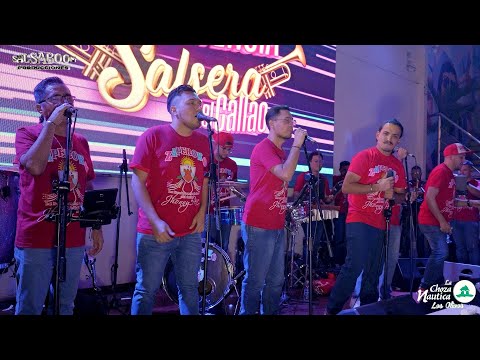 Regresa Ya / Cuando Aparezca el Amor / Por Tu Proceder / Tu Mamá No Quiso - ZAPEROKO