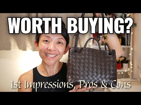 *WORTH BUYING?* Bottega Veneta Andiamo 1st Impression, Pros & Cons | Kat L