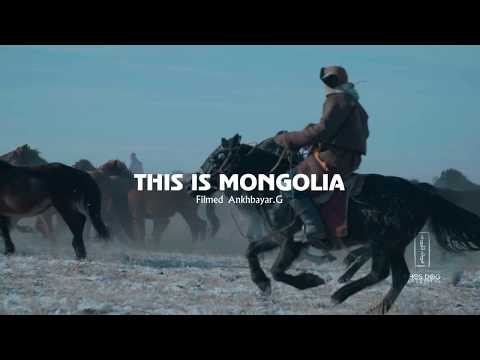 , title : 'The Horses of Nomads Mongolia'
