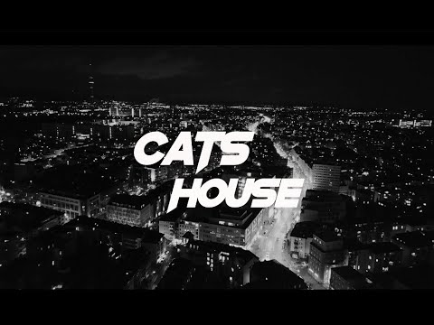 Lemon Joy - Kažkada ( Cats House Remix )
