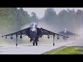 Holding Out For A Harrier - HD