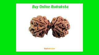 Online Rudraksha