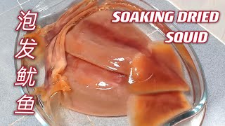 如何泡发鱿鱼  |  How to soak dried squids