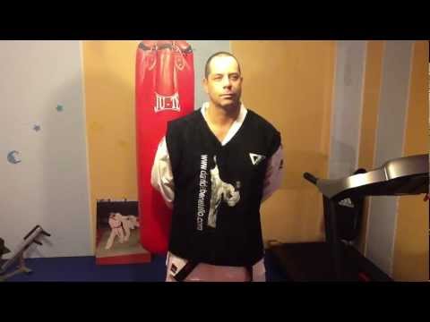 Davide Benetello su Bercy (GO genn.2012)