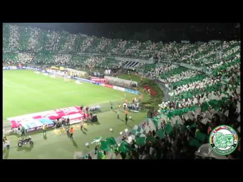 "La mejor hinchada de Colombia - Los Del Sur." Barra: Los del Sur • Club: Atlético Nacional • País: Colombia