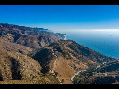 Primrose Malibu - The Agency