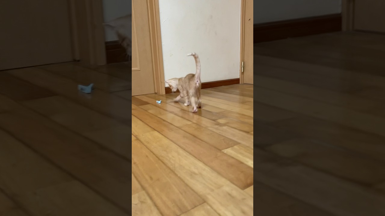 せんたくばさみ