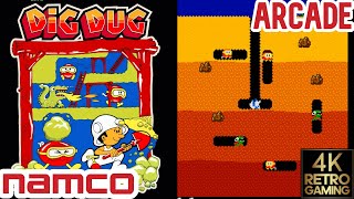 Dig Dug Arcade ( Namco 1982 ) 4k Gameplay