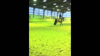 Download lagu Jumping with Izziz Vieux Moulin mp3 Download lagu Jumping with Izziz Vieux Moulin mp3