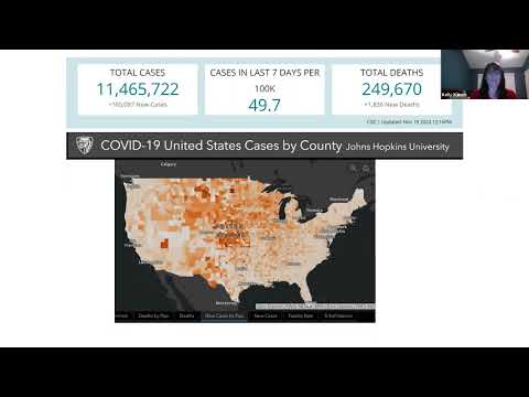 COVID-19 Town Hall, Nov 19, 2020 - COVID-19 Impact on Economics