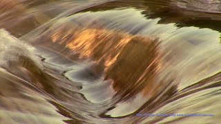 Alison Krauss - Down in the River to Pray (The traditional Appalachian song)