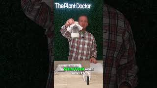 The Eggshell Secret Nobody Talks About #plants #lifehack