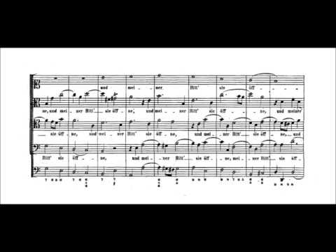 SP's score videos