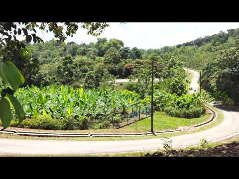 manual cam hdr10 4k LG v50