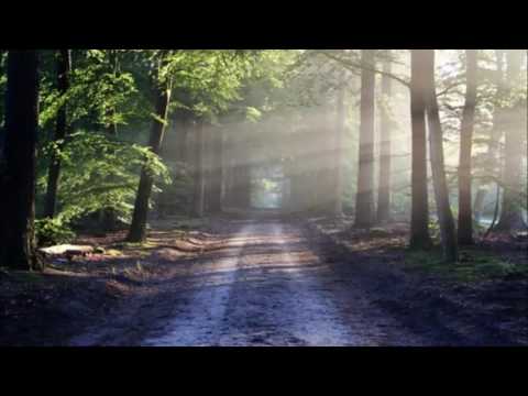 Klassische Musik für Studium und Konzentration Mozart Studie Musik Vol5