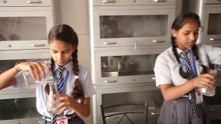 Kalindi Public School Video